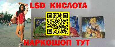 прущие крисы Бийск